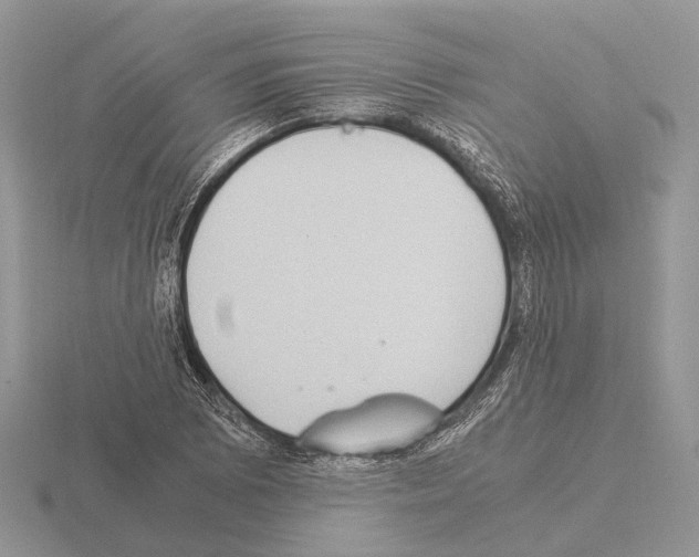 X0000115351073200912151331