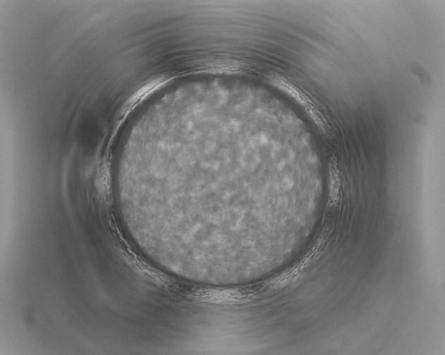 X0000115351074200912151331