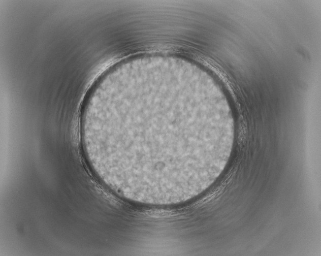 X0000115351075200912151331