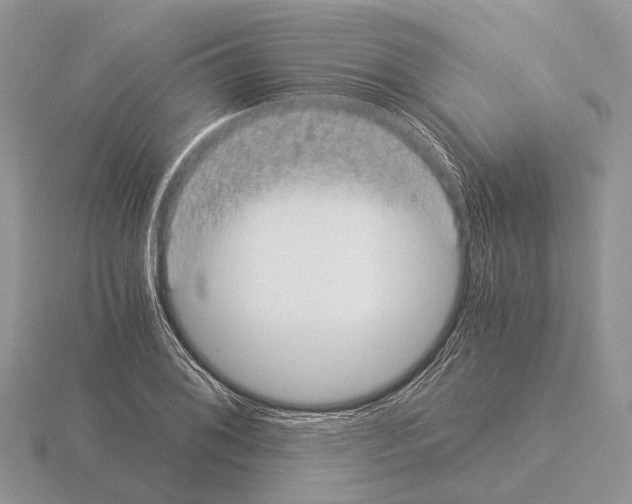 X0000115351076200912151331