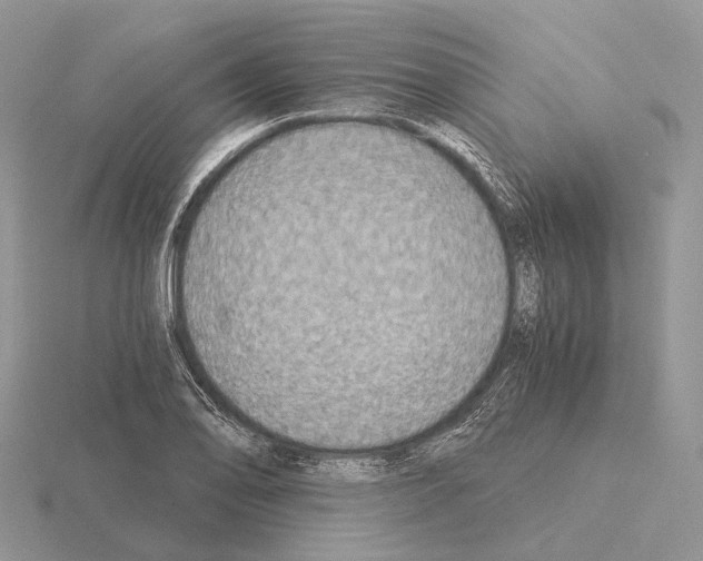 X0000115351078200912151331