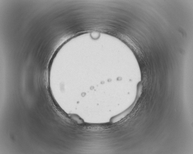 X0000115351079200912151331