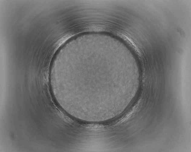 X0000115351081200912151331