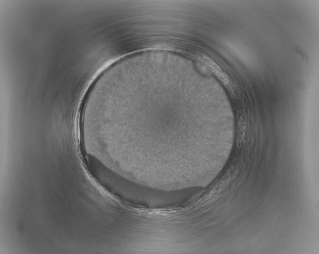 X0000115351084200912151331