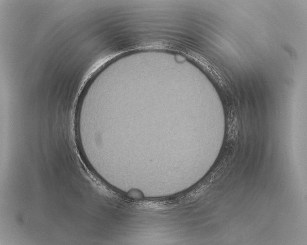 X0000115351086200912151331