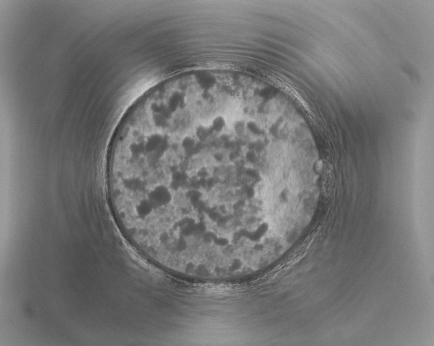 X0000115351087200912151331