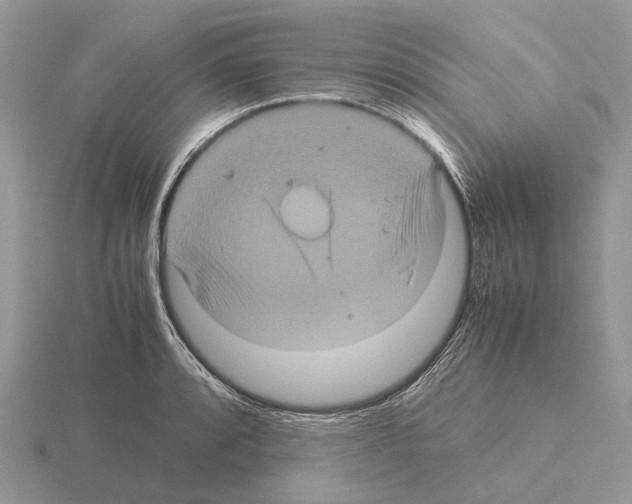 X0000115351088200912151331