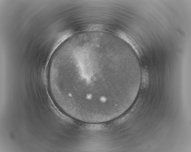 X0000115351090200912151331