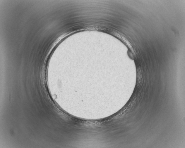 X0000115351091200912151331