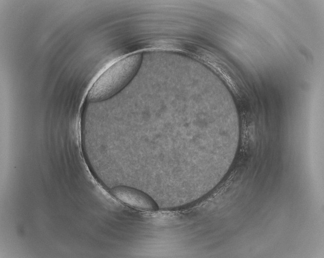 X0000115351092200912151331