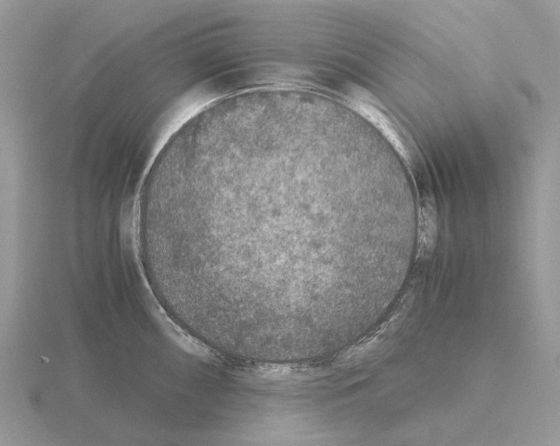 X0000115351098200912151331