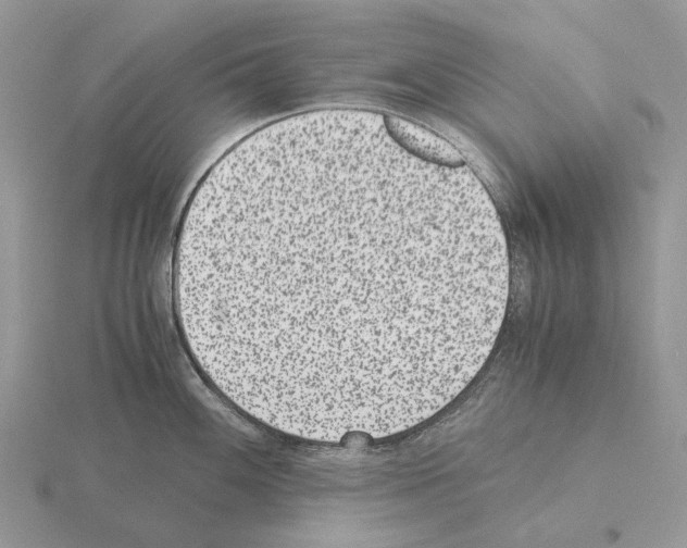 X0000115351100200912151331