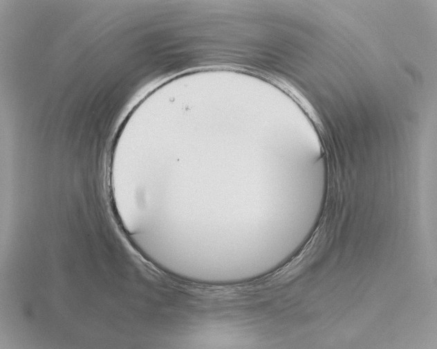 X0000115351101200912151331