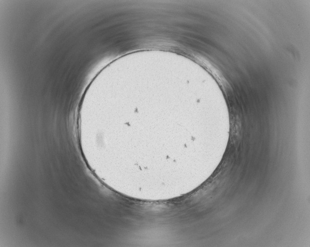 X0000115351103200912151331