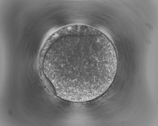 X0000115351104200912151331