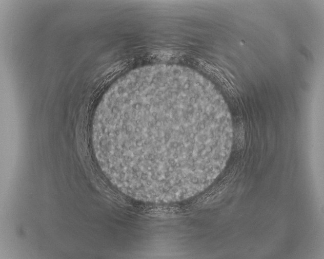 X0000115351105200912151330