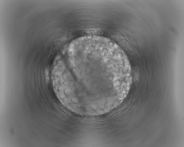 X0000115351106200912151330