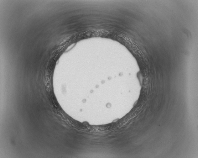 X0000115351109200912151330