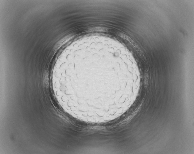 X0000115351113200912151330