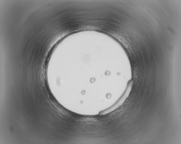 X0000115351119200912151330