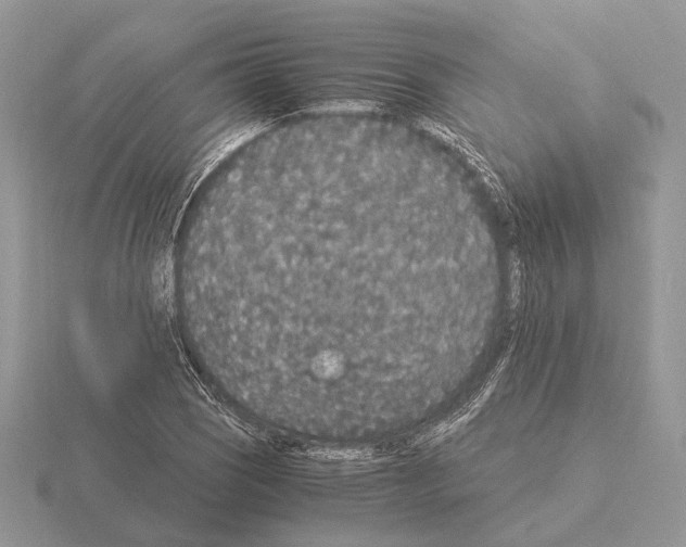 X0000115351121200912151330