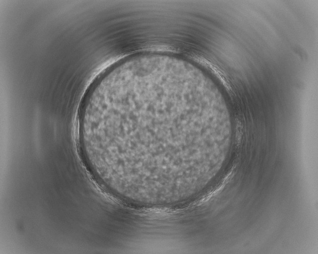 X0000115351125200912151330