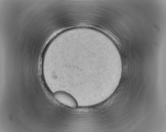 X0000115351126200912151330