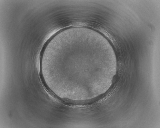 X0000115351127200912151330