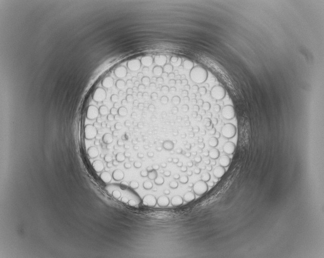 X0000115351130200912151330