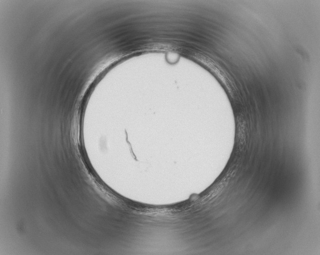 X0000115351131200912151330