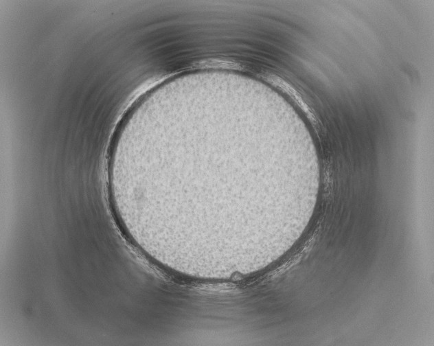 X0000115351133200912151331