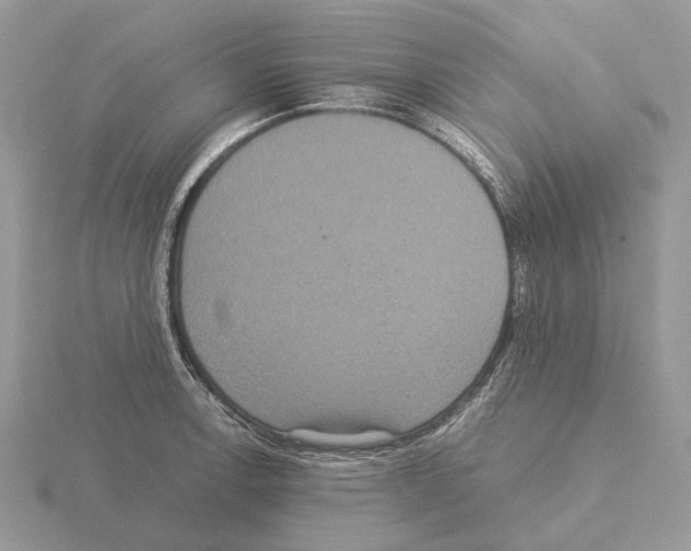 X0000115351138200912151331