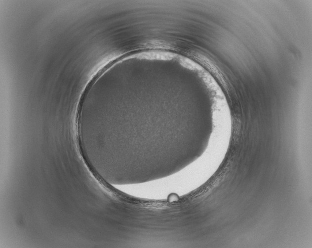 X0000115351141200912151331