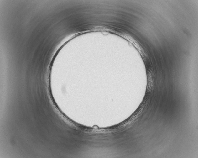 X0000115351142200912151331