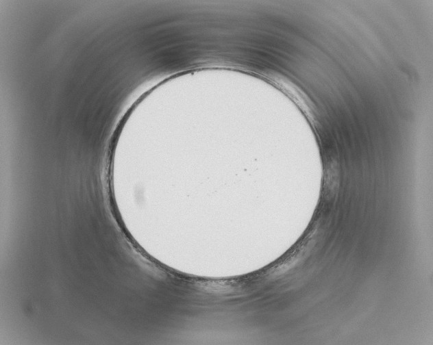 X0000115351149200912151331