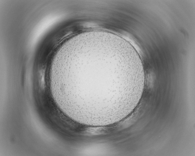 X0000115351150200912151331