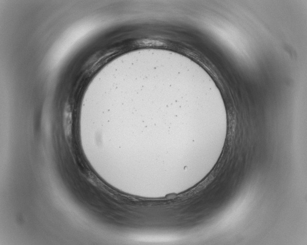 X0000115351151200912151331