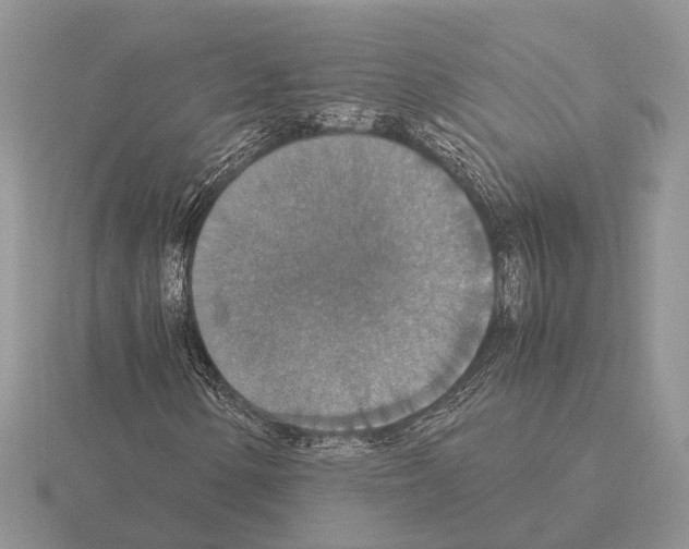 X0000115351154200912151330