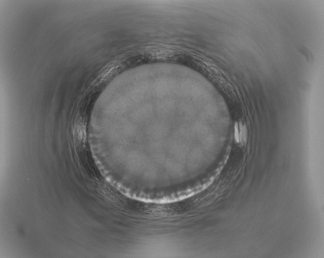 X0000115351155200912151330