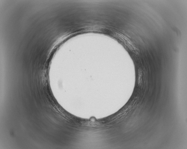 X0000115351164200912151330