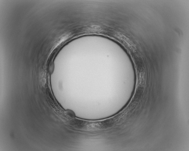 X0000115351165200912151330