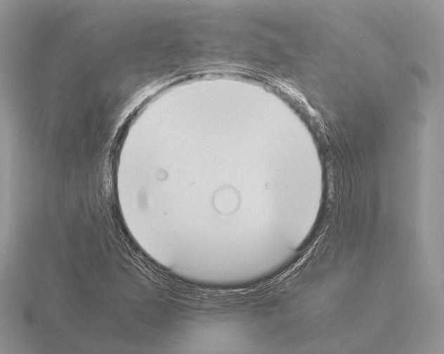 X0000115351167200912151330