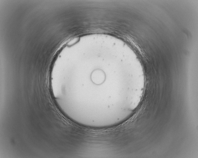 X0000115351173200912151330