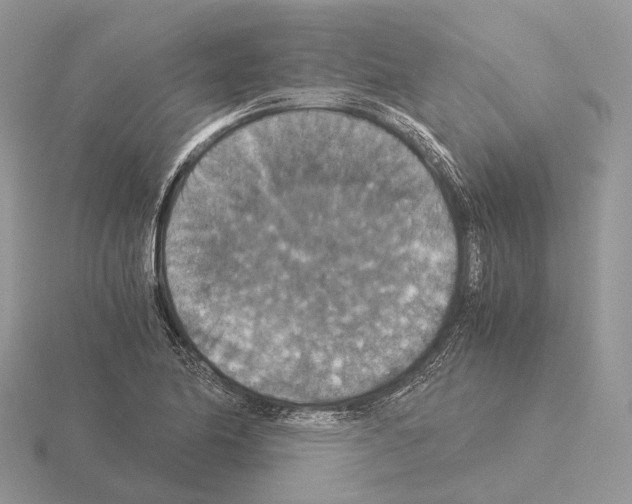 X0000115351174200912151330