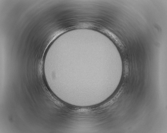 X0000115351178200912151330