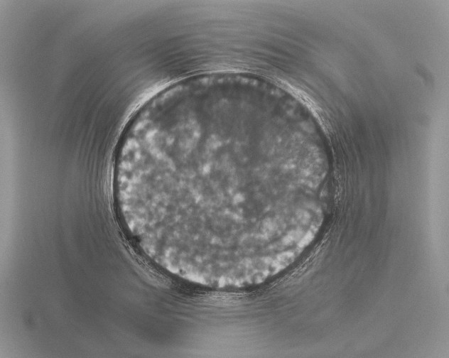 X0000115351179200912151330