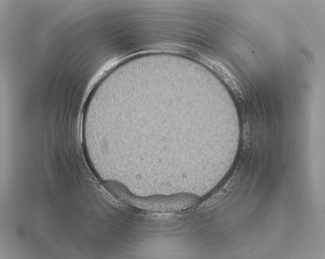 X0000115351180200912151330