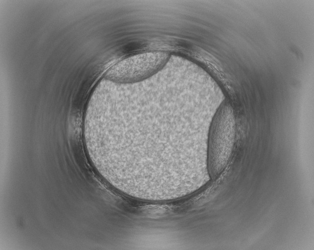 X0000115351185200912151330