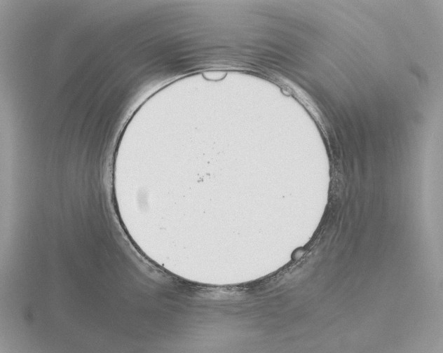 X0000115351195200912151330