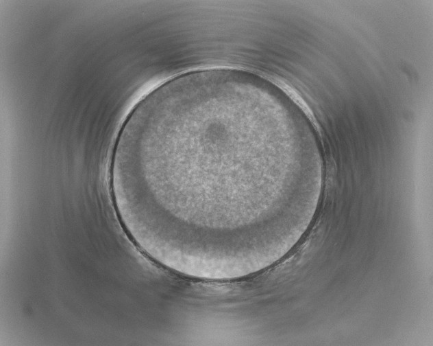 X0000115351197200912151330